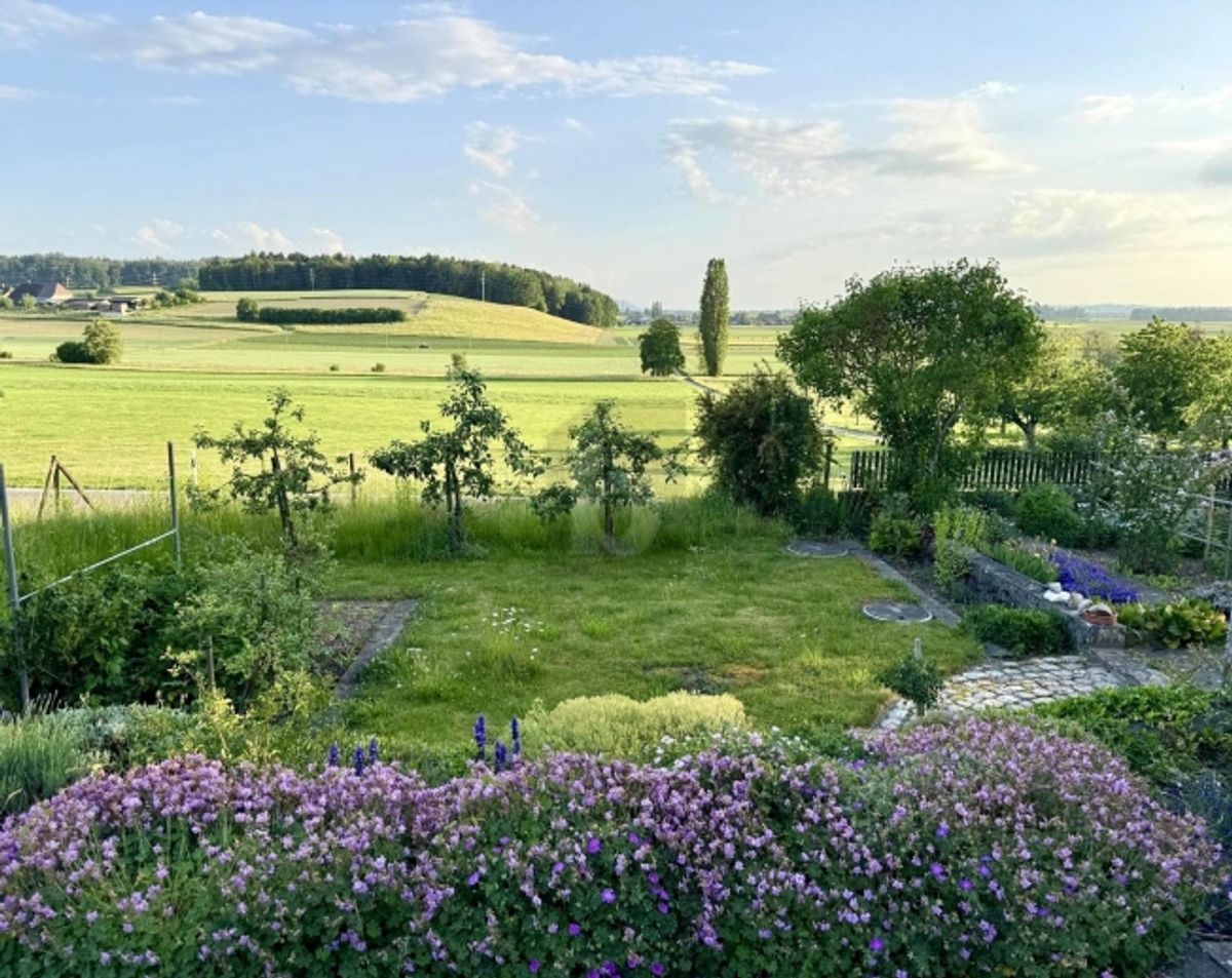 IDEAL FÜR GARTENLIEBHABER UND SELBSTVERSORGER - 4