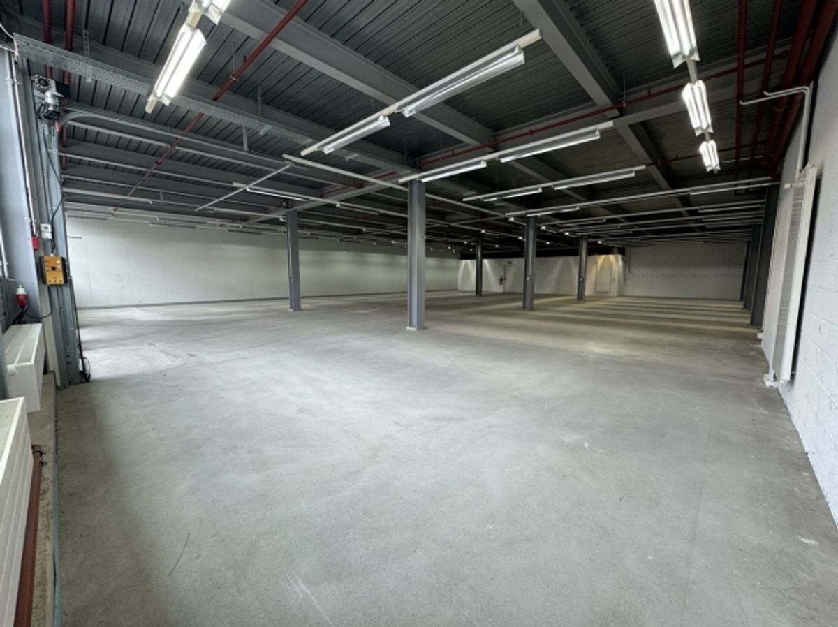 Opportunité -  ZI Champ-Colin - belle surface de 507m2 (3 mois offert) - 3