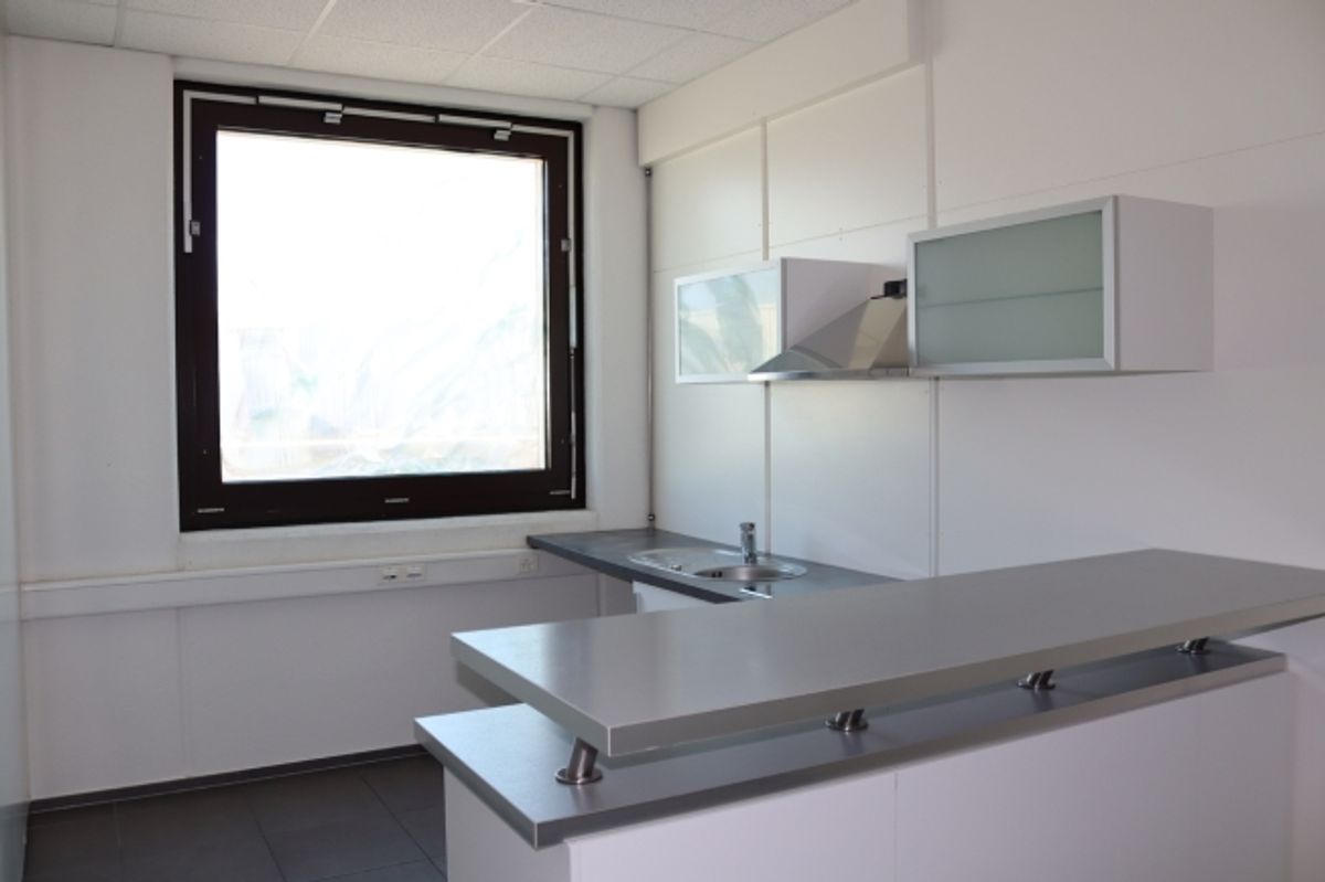 ZI ZIMEYSA - Satigny - Bureaux de 400 m2 - 4