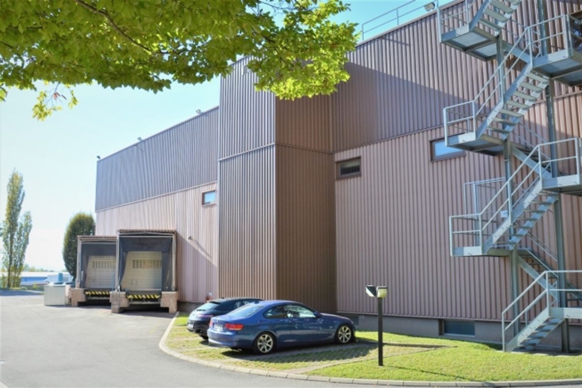 Grand dépôt 315m2 - Hauteur 5m - Bail flexible - Bon accès camion - 3