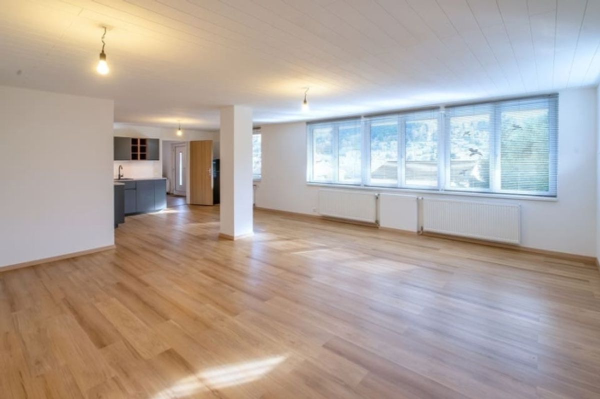 Attraktives 1.5-Zimmer Studio mit herrlichem Blick in Ebikon zur Miete - 0