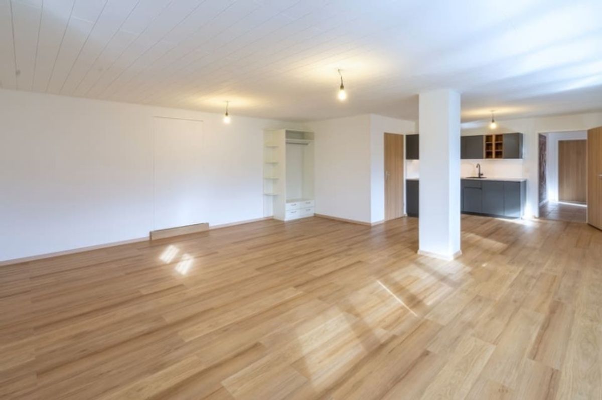 Attraktives 1.5-Zimmer Studio mit herrlichem Blick in Ebikon zur Miete - 1