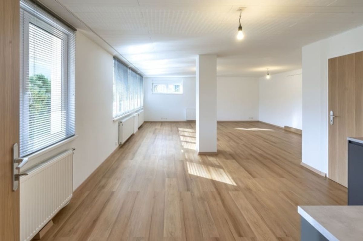 Attraktives 1.5-Zimmer Studio mit herrlichem Blick in Ebikon zur Miete - 2