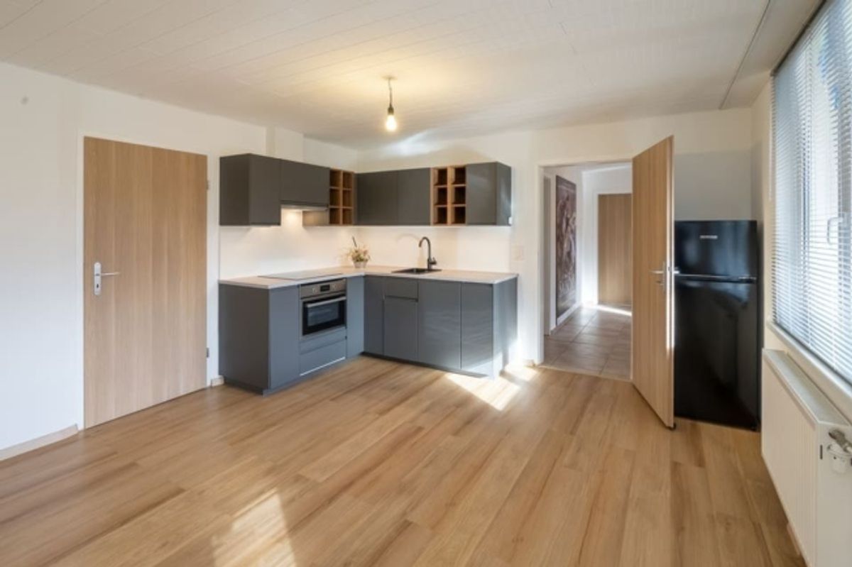 Attraktives 1.5-Zimmer Studio mit herrlichem Blick in Ebikon zur Miete - 3