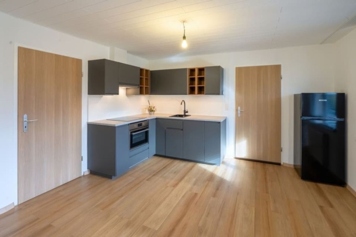 Attraktives 1.5-Zimmer Studio mit herrlichem Blick in Ebikon zur Miete - 5