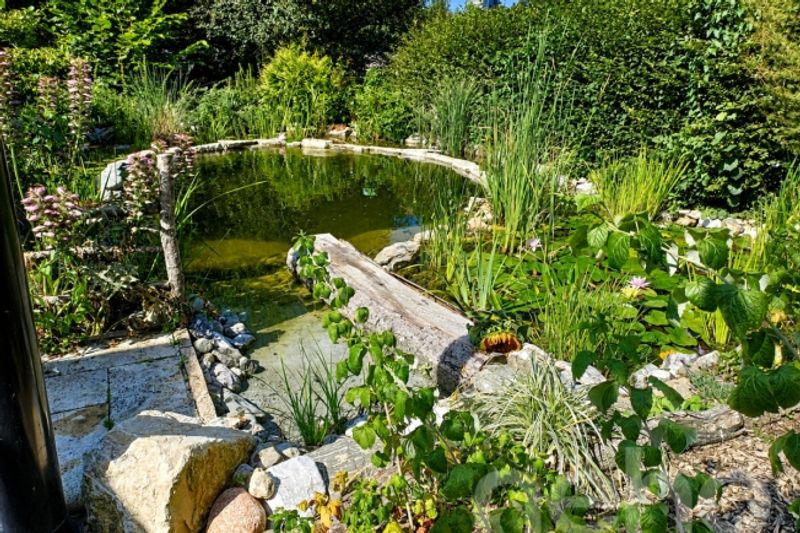 Zwischen Naturpark und Stadtleben ein außergewöhnlicher Zufluchtsort in Lausanne - 4