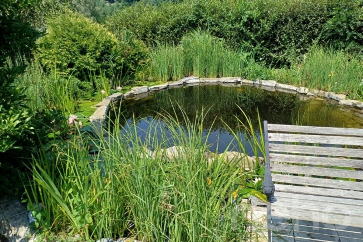Zwischen Naturpark und Stadtleben ein außergewöhnlicher Zufluchtsort in Lausanne - 4
