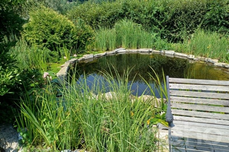 Zwischen Naturpark und Stadtleben ein außergewöhnlicher Zufluchtsort in Lausanne - 5