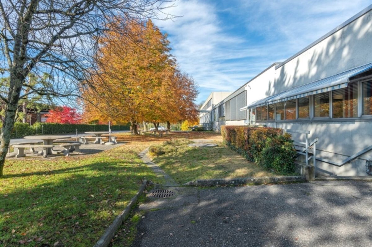 Atelier dès 78 m² à louer – 1er étage - Dépôt / atelier - 2