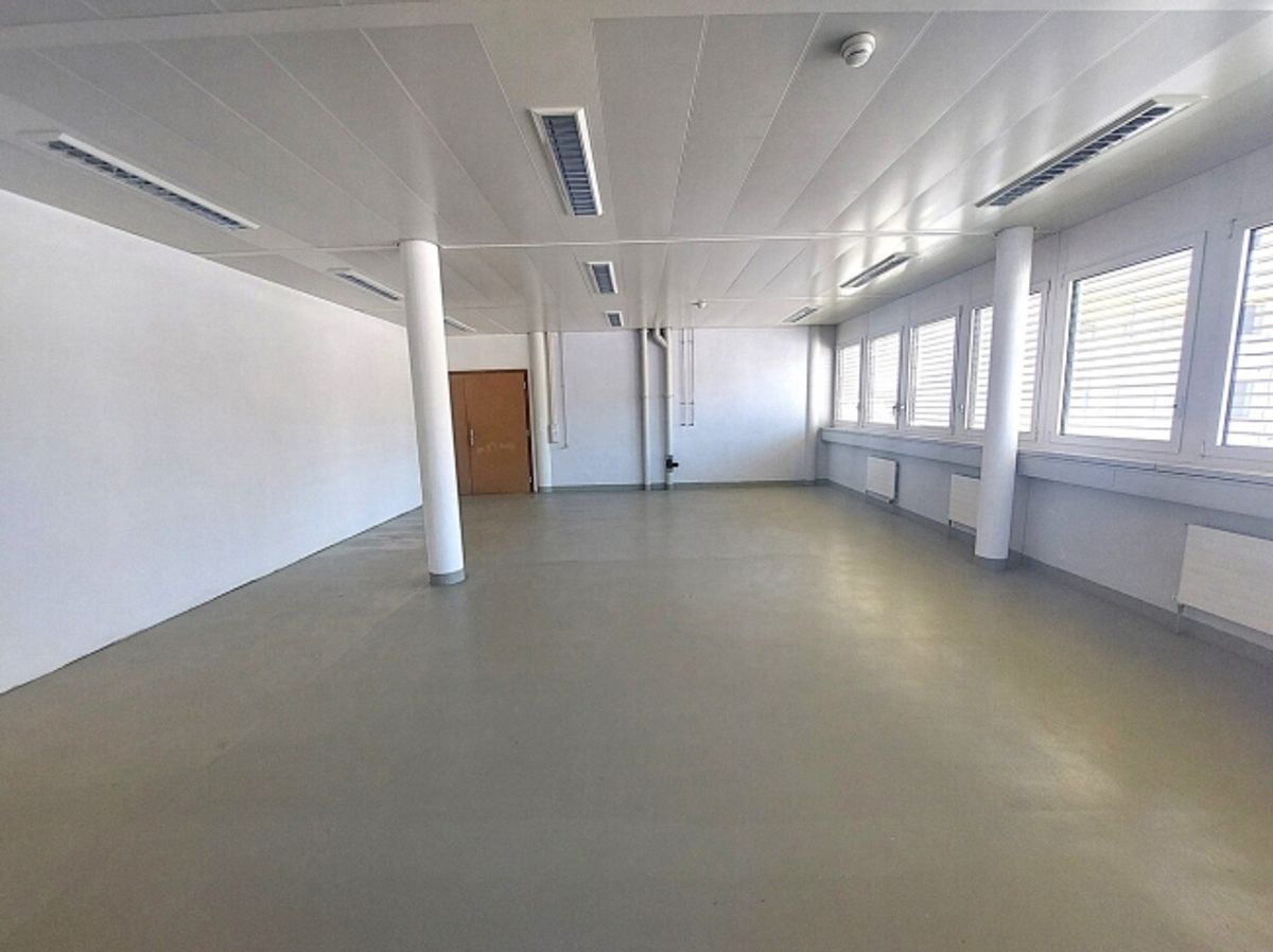 Atelier/dépôt 68m2 à Renens - proximité autoroute/gare - Bail flexibe - 0