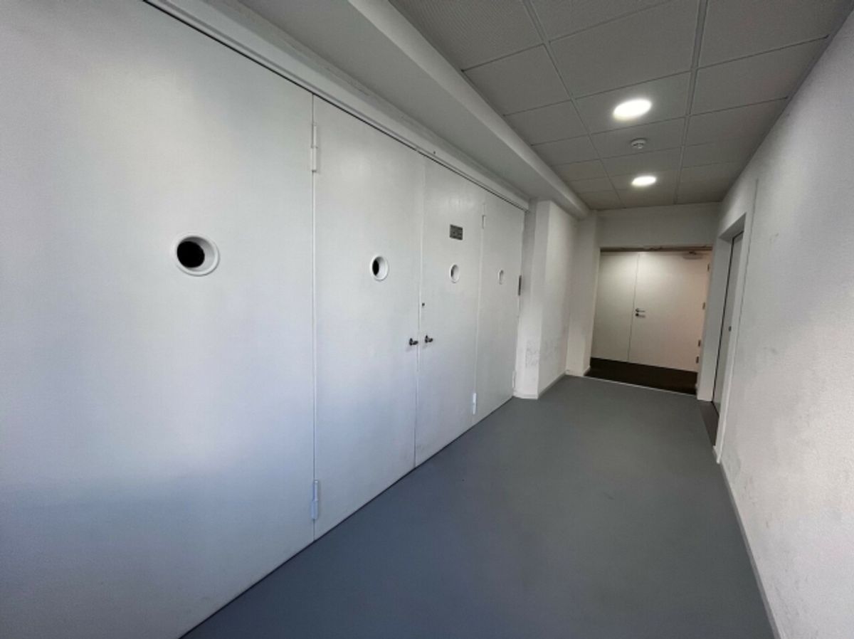 Grande surface lumineuse 200m2 - Entre Lausanne et Prilly - 4