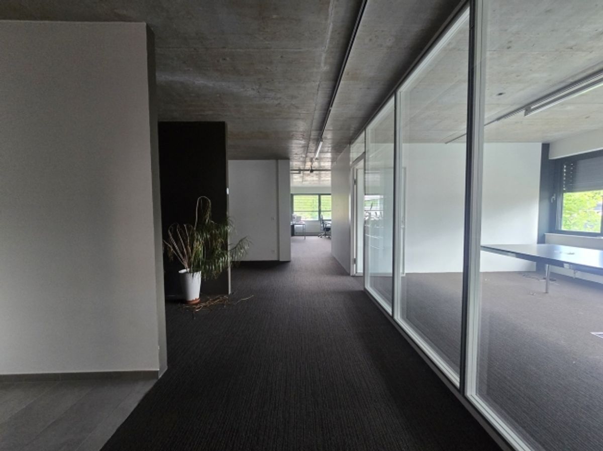 Bureau 135m2 - Mont-sur-Lausanne - 2