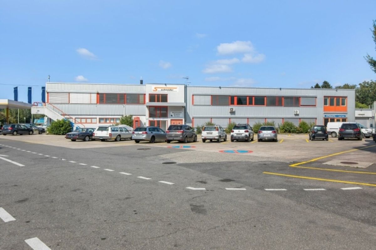 Fläche von 555m2 - Showroom - Büros oder Räume - 0