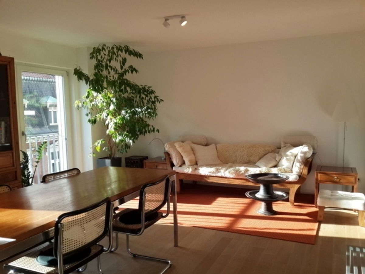 2 ZI-WOHNUNG IN BASEL - ALTSTADT/GROSSBASEL, MÖBLIERT, TEMPORÄR - 0