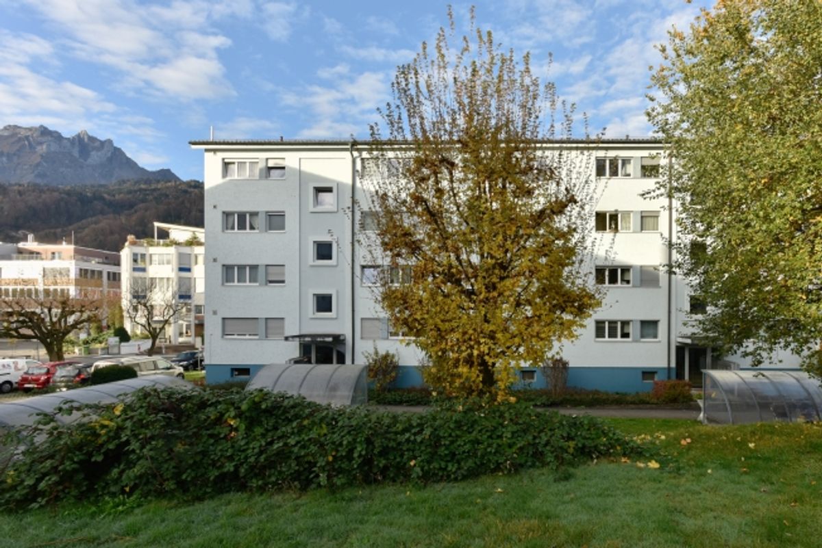 Naturnah und im Herzen von Horw - 1
