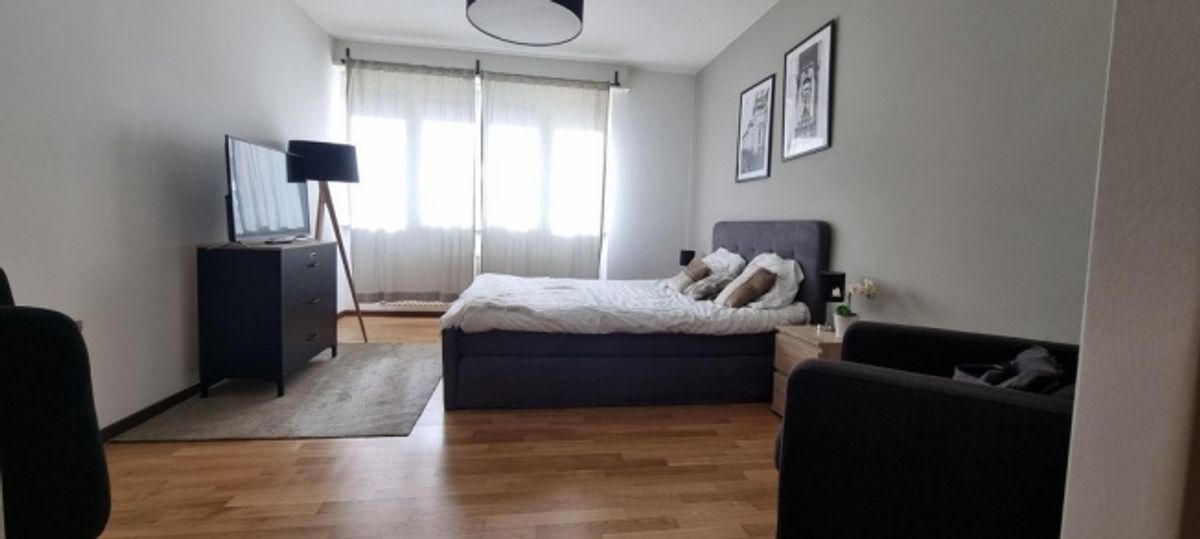 Superbe studio meublé au coeur de Genève ! - 0
