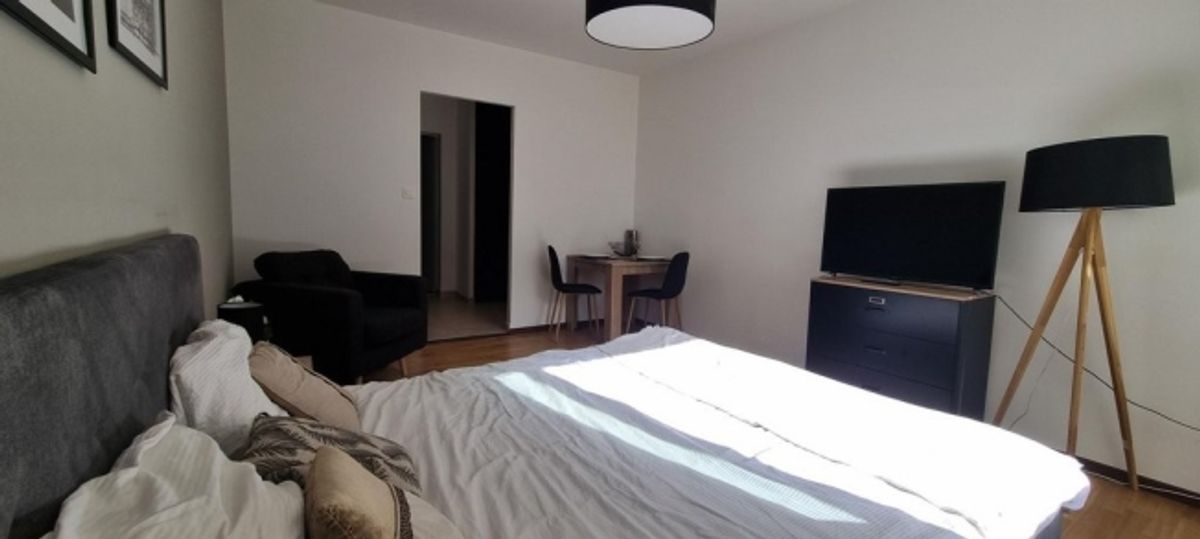 Superbe studio meublé au coeur de Genève ! - 1