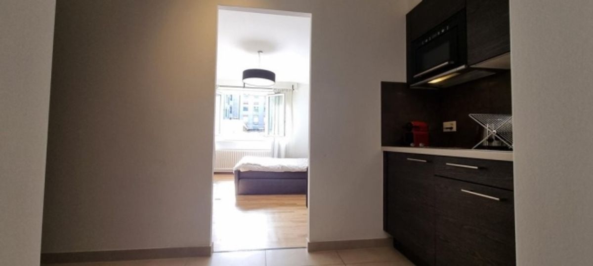 Superbe studio meublé au coeur de Genève ! - 3