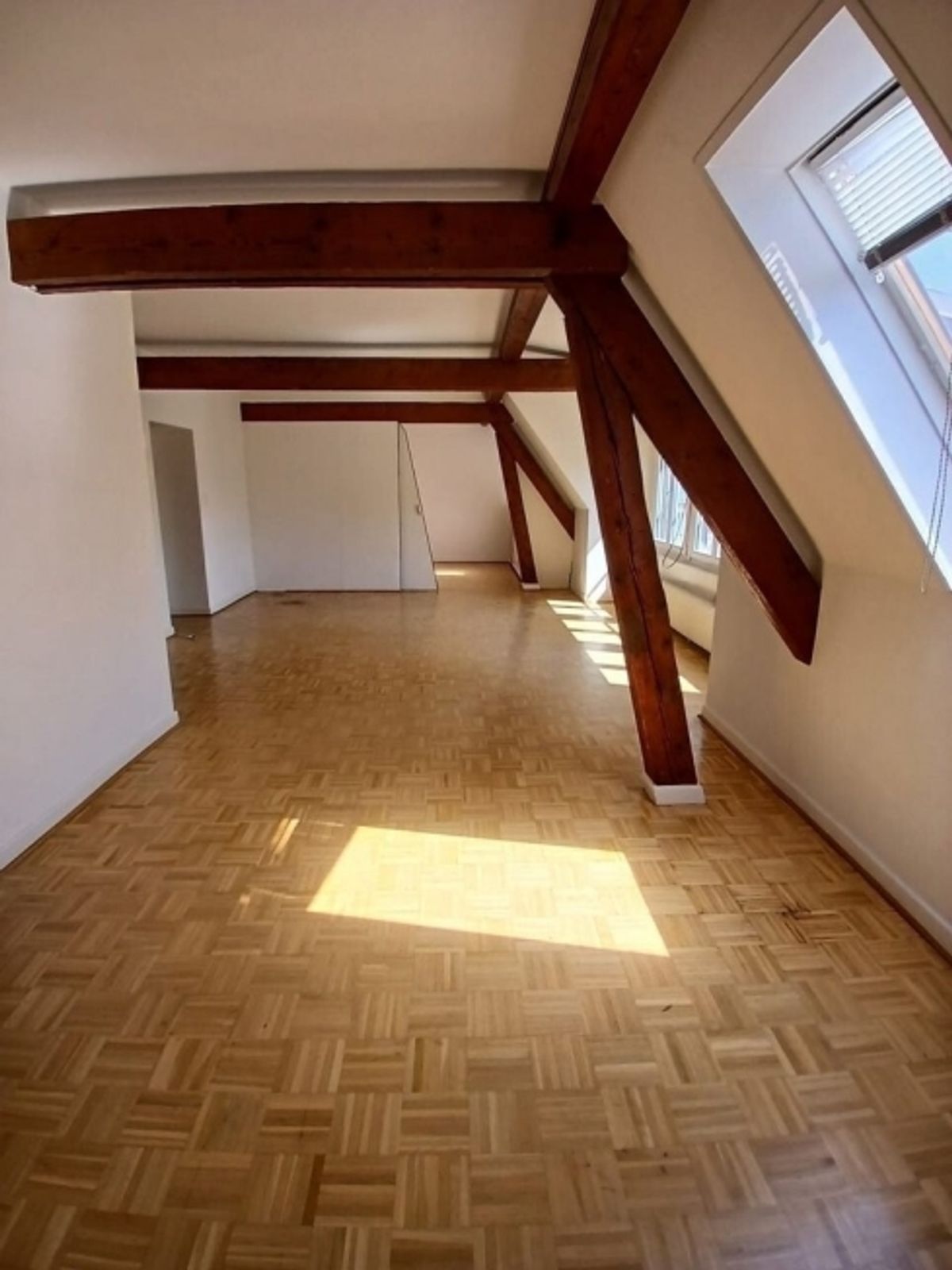 A saisir ! Charmant appartement à louer au coeur de Plainpalais ! - 2
