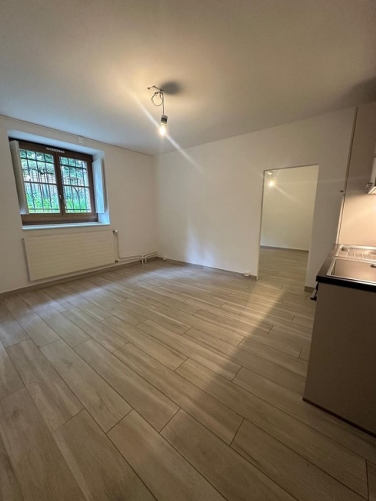 À saisir ! Appartement au coeur de Genève ! - 1