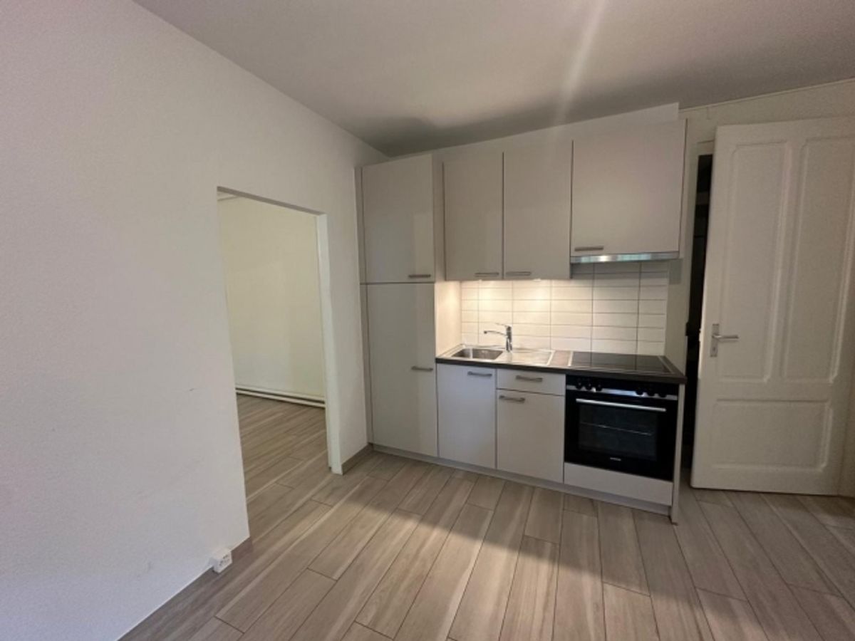 À saisir ! Appartement au coeur de Genève ! - 4
