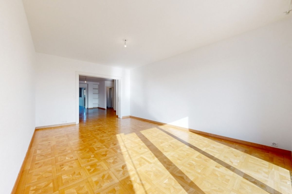 Bel appartement à proximité de la gare Cornavin - 1
