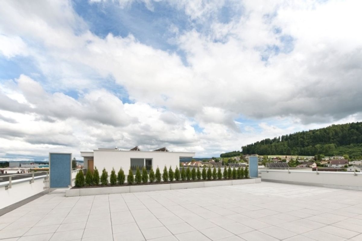 Attikawohnung mit grosser Terrasse - 5