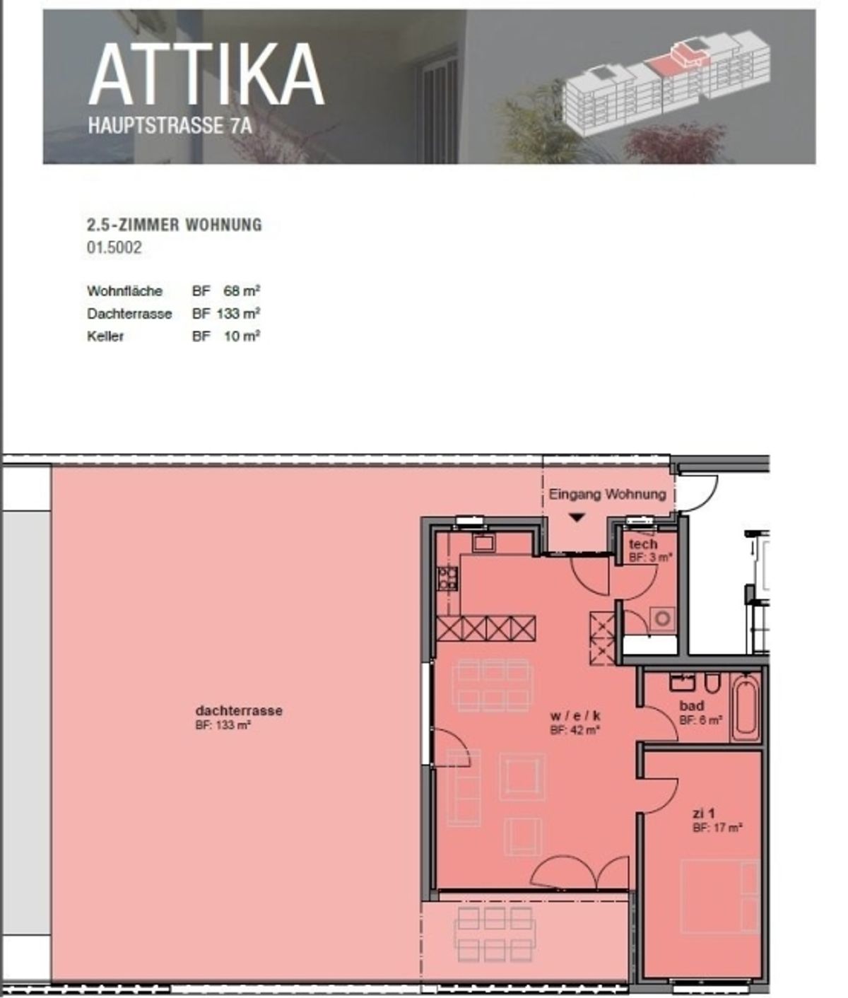Attikawohnung mit grosser Terrasse - 8