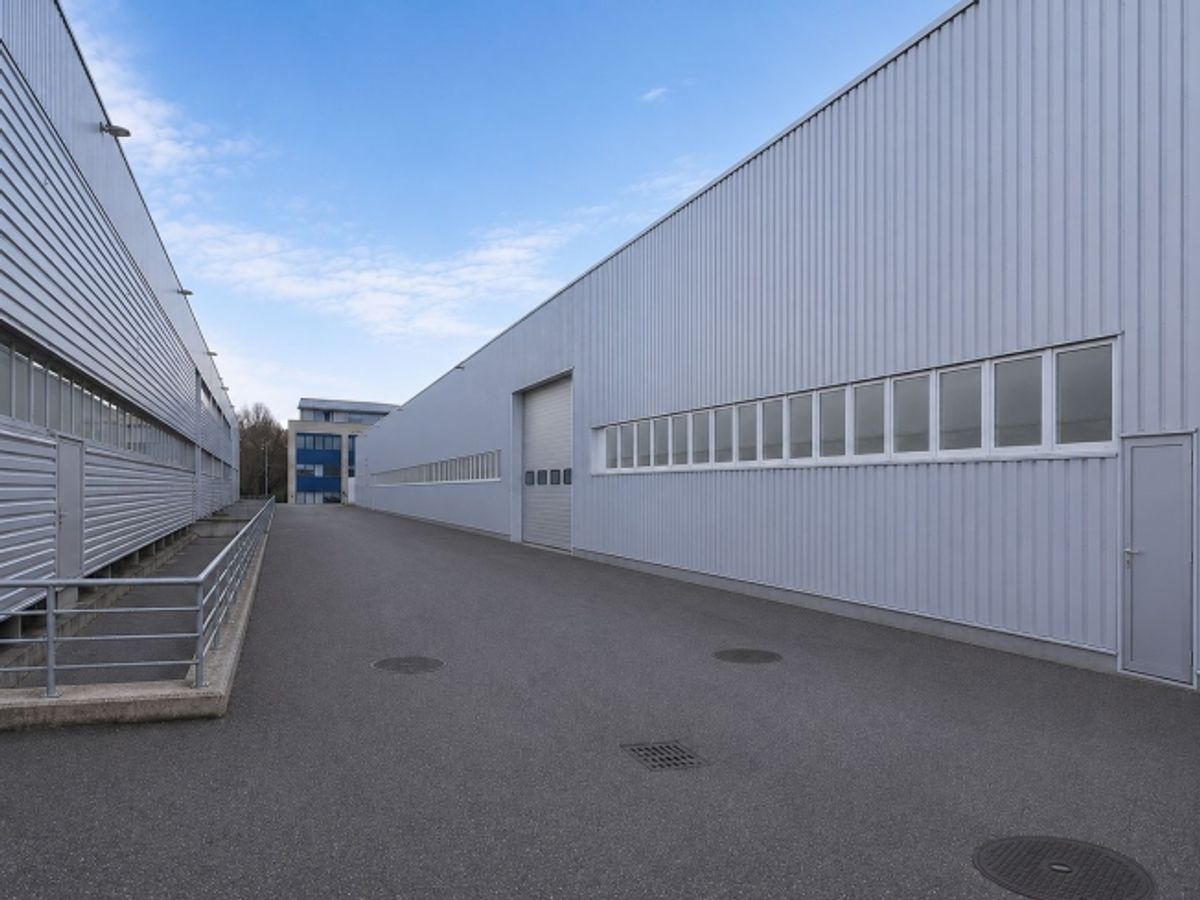 Die beste Halle in Tägerwilen und der ganzen Region! im Erdgeschoss! - 2