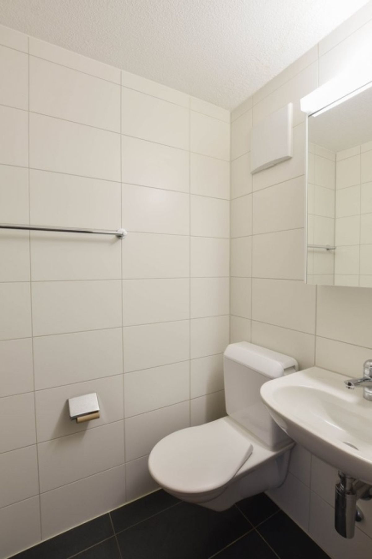 Sanierte 3.5-Zimmer mit Galerie zu vermieten - 5