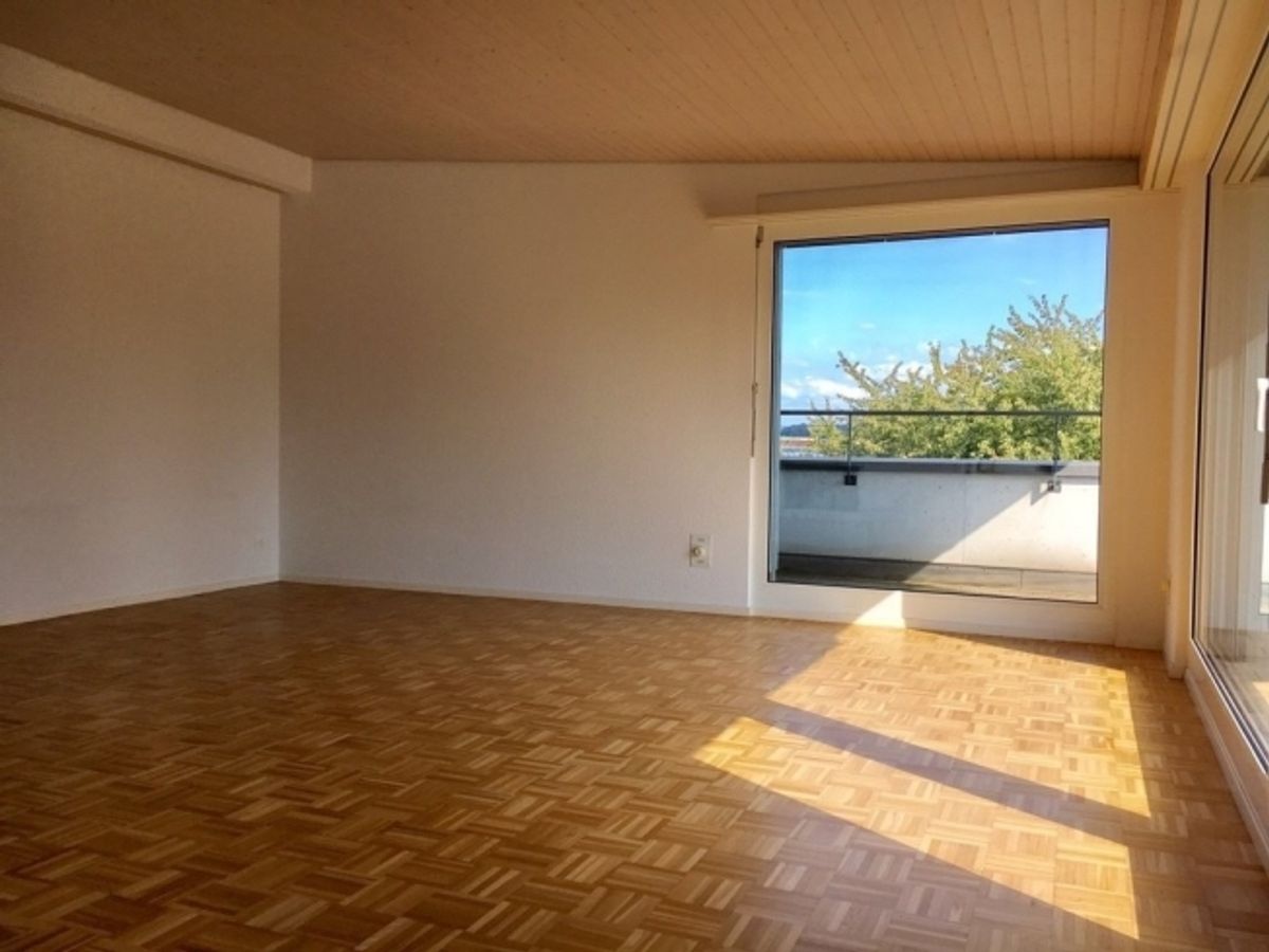 Attikawohnung mit Cheminée, grosser Terrasse + eigener Waschküche - 2