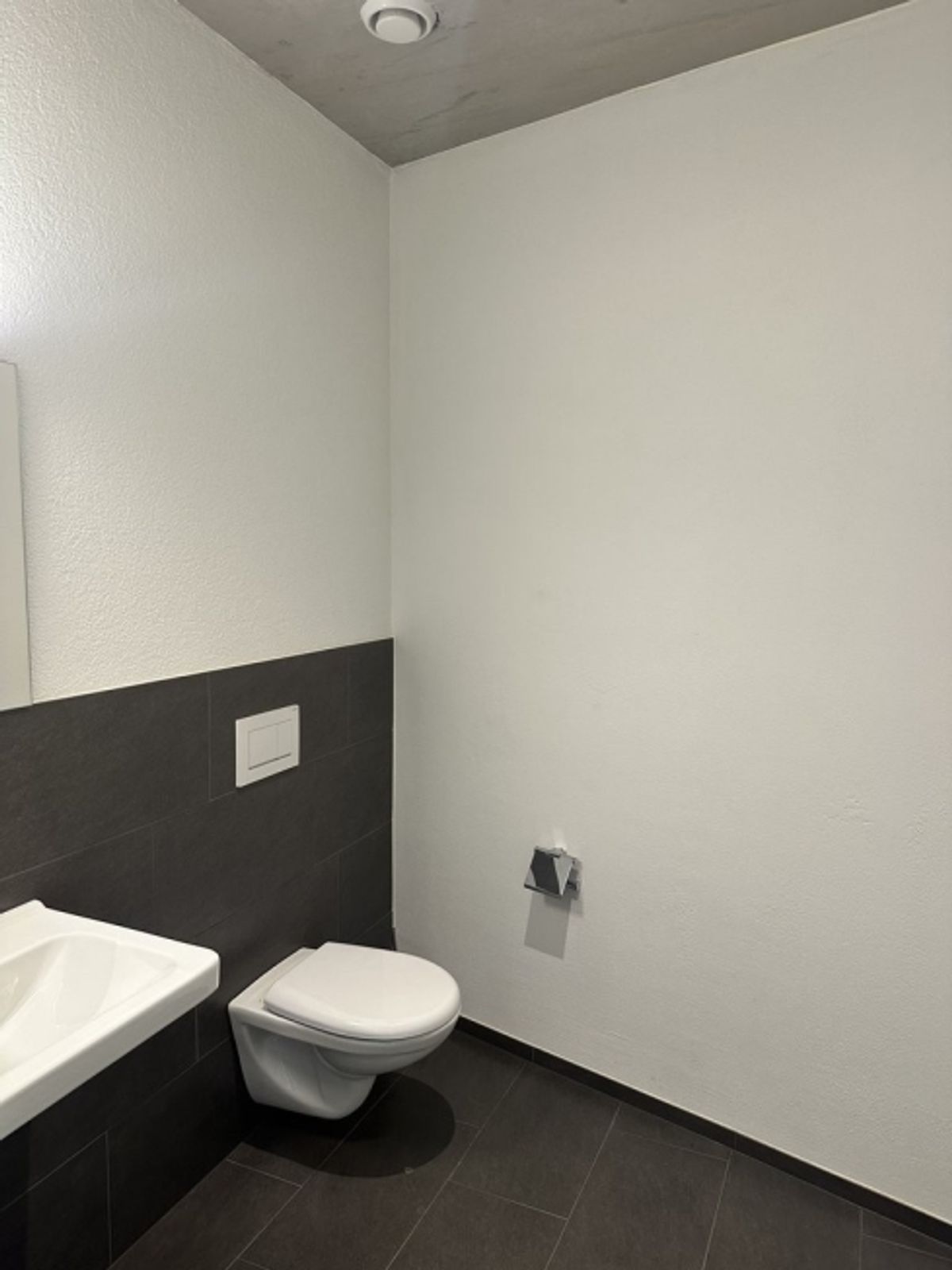 Moderne Gewerbefläche an bester Lage in Heerbrugg - 8