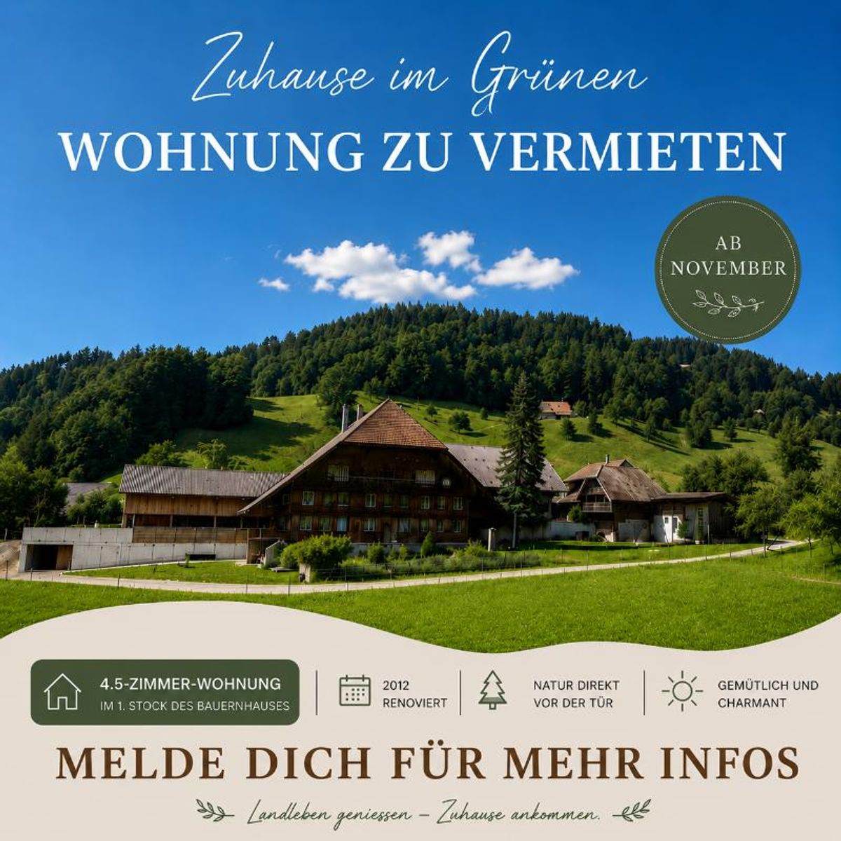 4.5 Zimmer Wohnung - 0