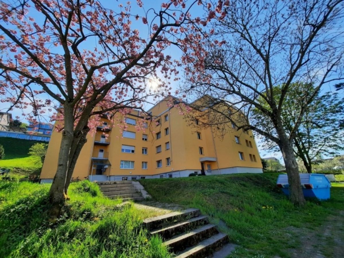 ATTRAKTIVE Sitzplatz-Wohnung in Ermatingen - 0