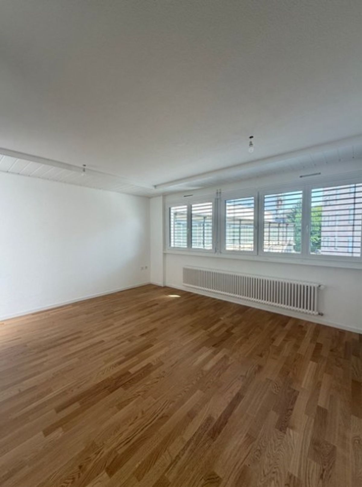 Frisch renovierte 2,5-Zimmer-Wohnung - 0