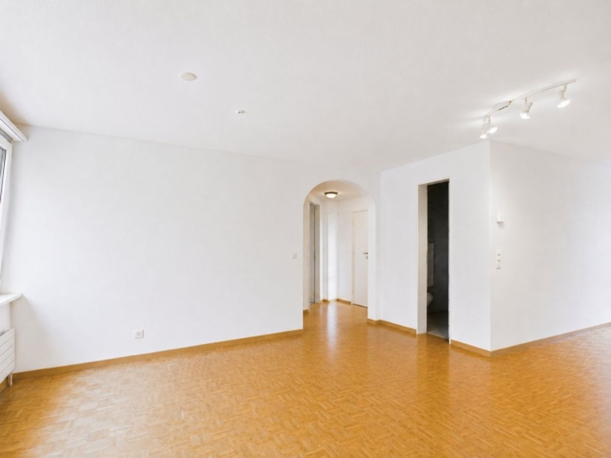 Renovierte 4.5-Zimmer-Wohnung in ruhiger Lage in St. Margrethen (TG) - 5