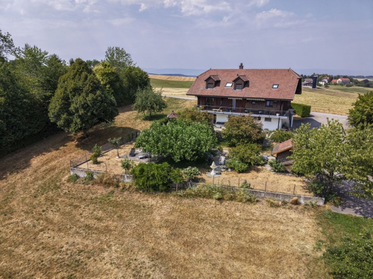 Pierrafortscha – 2.5-Zimmer-Wohnung im Herzen des Fribourger Landlebens - 1