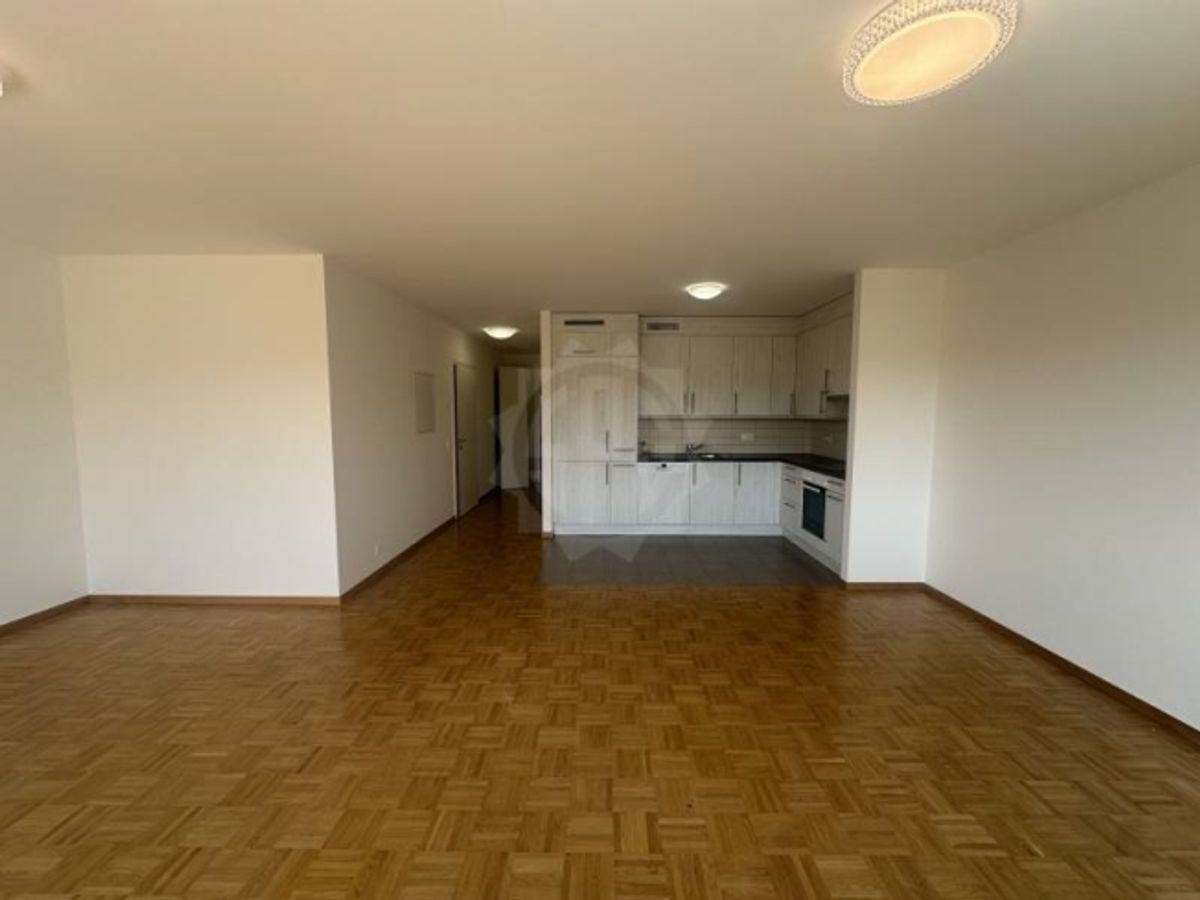 Charmante Wohnung – La Plaine - 3