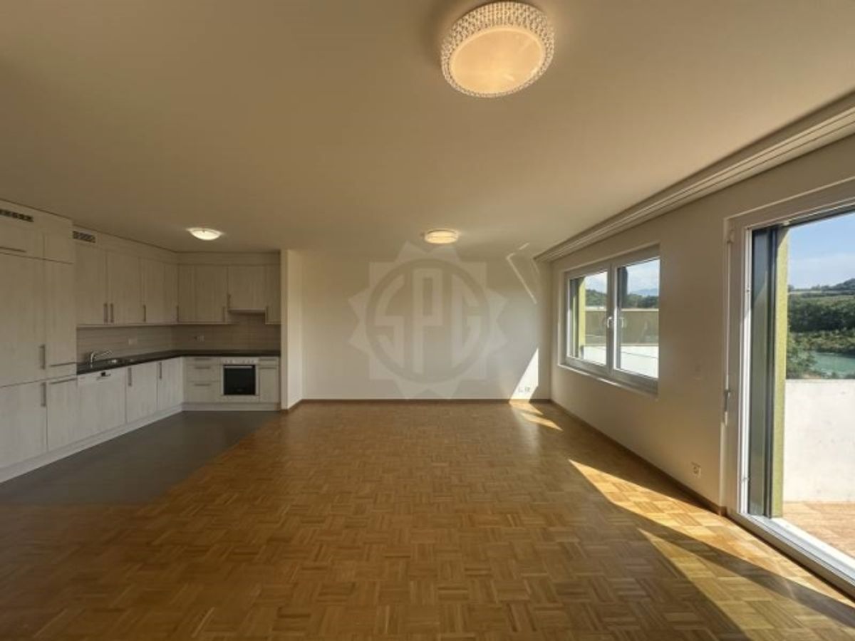 Charmante Wohnung – La Plaine - 4
