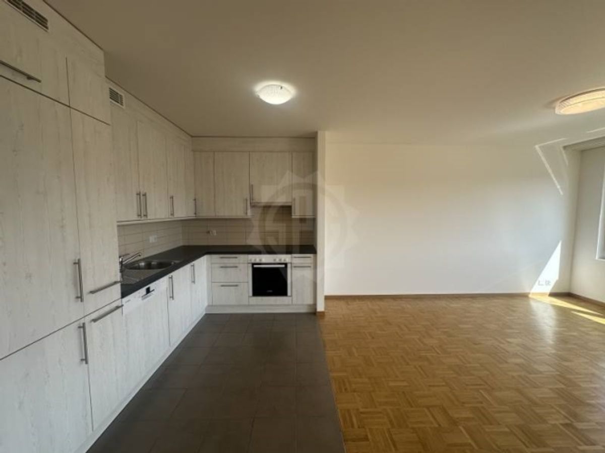 Charmante Wohnung – La Plaine - 5