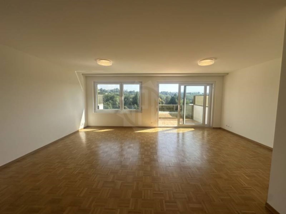 Charmante Wohnung – La Plaine - 6