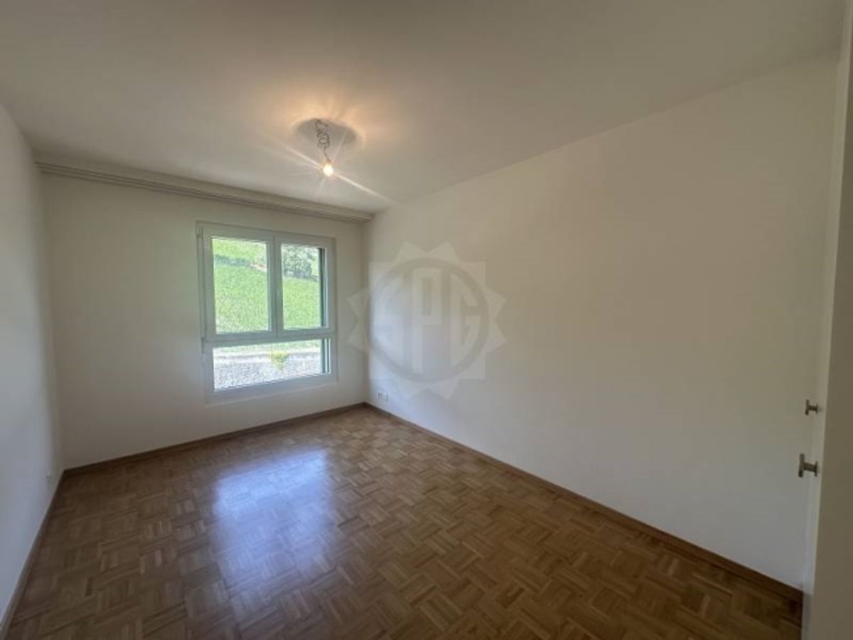 Charmante Wohnung – La Plaine - 8