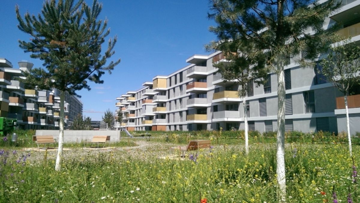 Schöne 3.5 Zimmer-Wohnung zu vermieten - 0