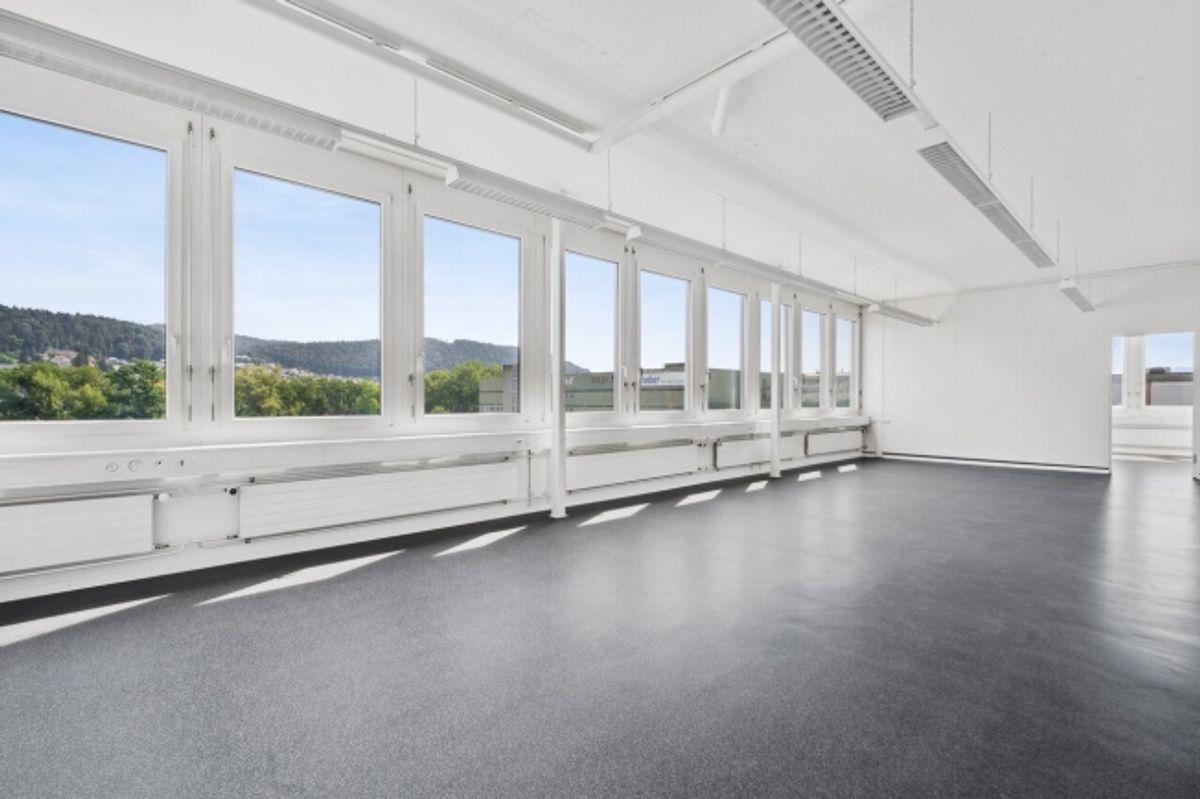 Helle Büro- oder Gewerbefläche direkt bei der A1 - 3