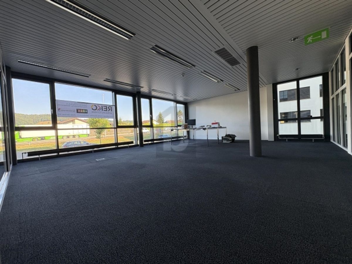 REPRÄSENTATIV MIT GLASFRONT - 3