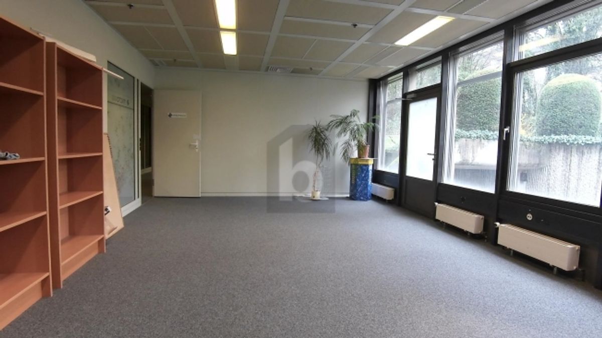 BUREAU LUMINEUX ET SPACIEUX - 1