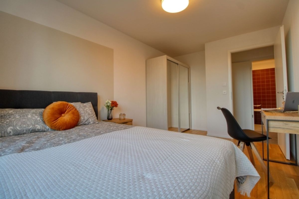 Spacious Coliving Apartment in Crissier - 4