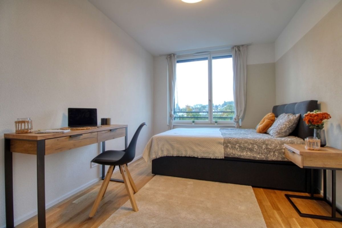 Spacious Coliving Apartment in Crissier - 6