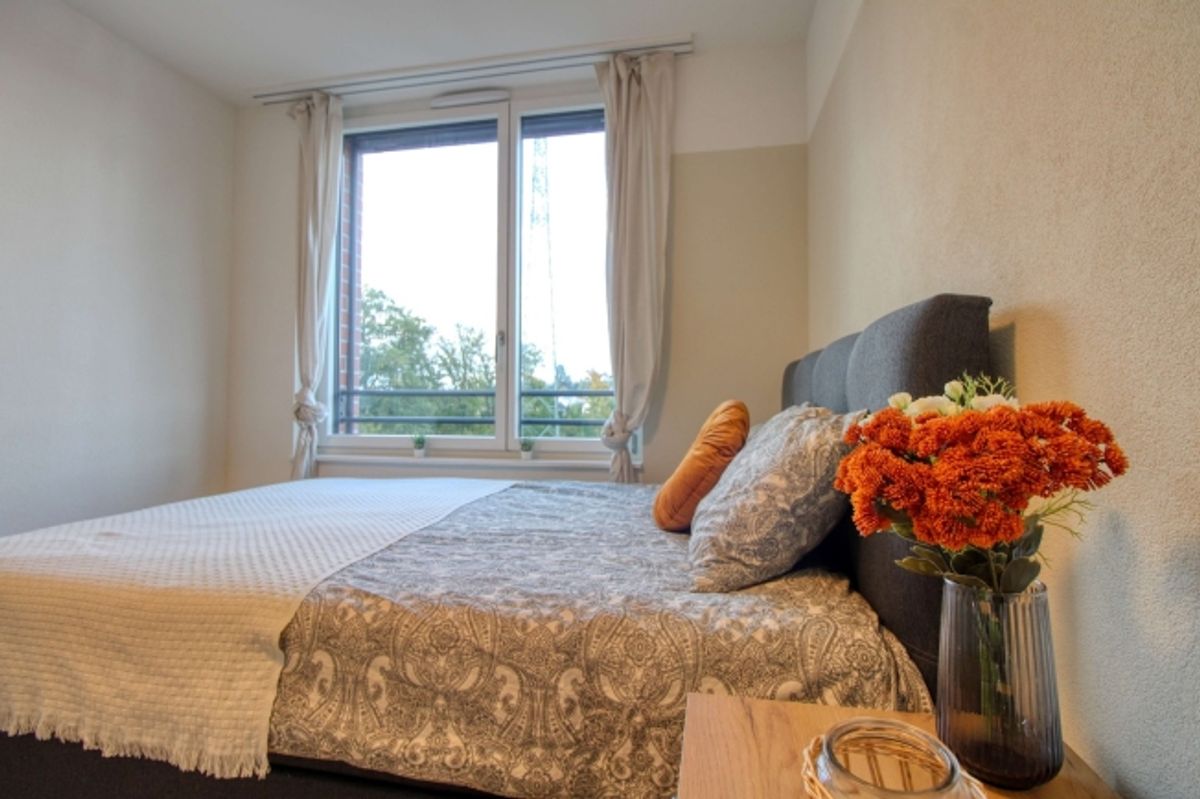 Spacious Coliving Apartment in Crissier - 7