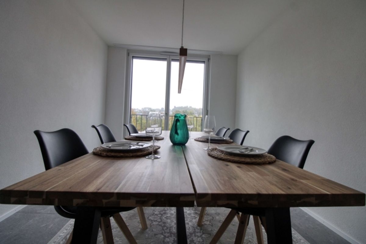 Spacious Coliving Apartment in Crissier - 11